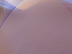 从红海中寻找蓝海：经营管理的创新路径